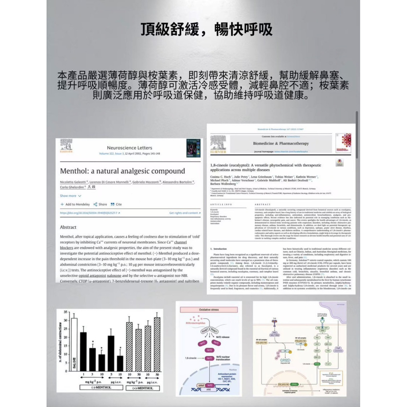 C-X電子鼻通棒 600-800口